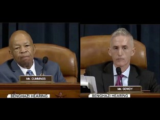 Gowdy and Cummings via screengrab