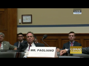 Pagliano Hearing via screengrab