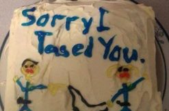 sorry-i-tased-you-cake-via-imgur