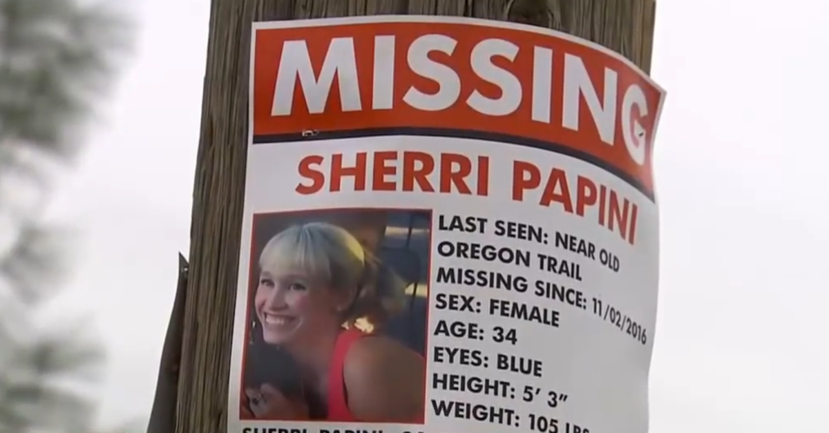 Missing person poster of Sherri Papini.
