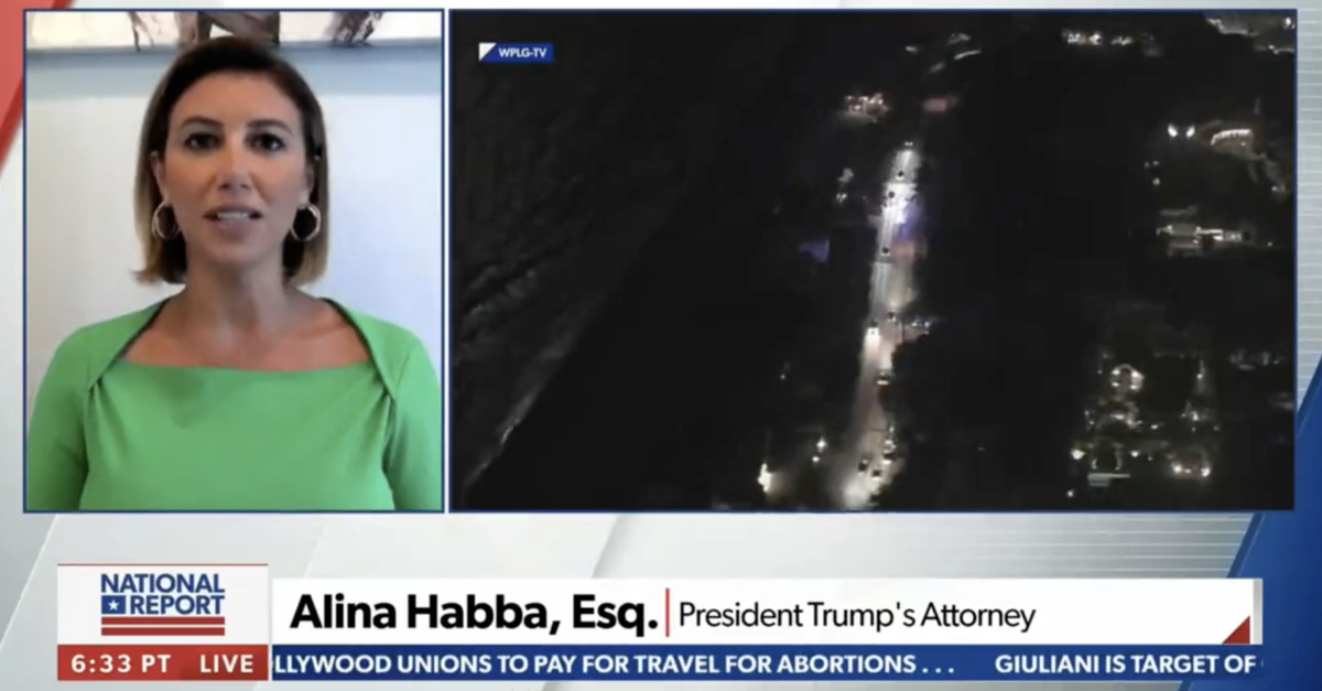 Alina Habba appears on Newsmax