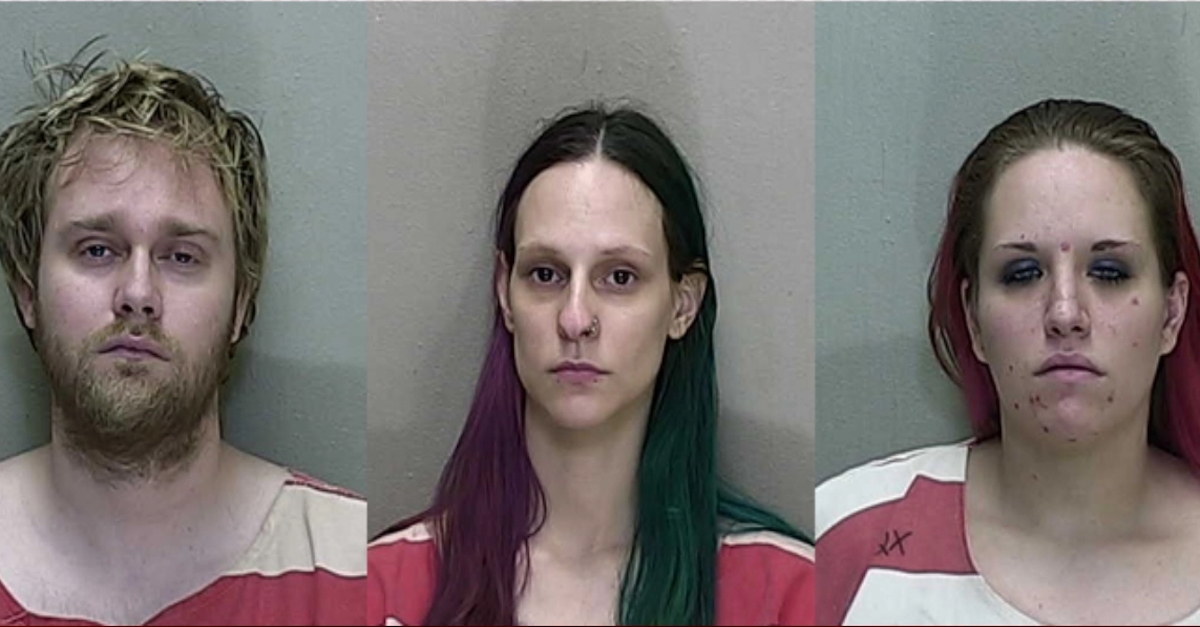 Zachary Wayne Turpin (left), Annabelle Lagiglia (center), and Kendra Marie Long (right)