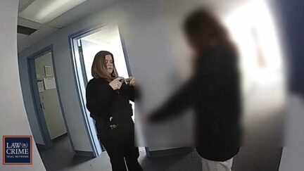 A 12-year-old girl who stabbed her 9-year-old brother to death