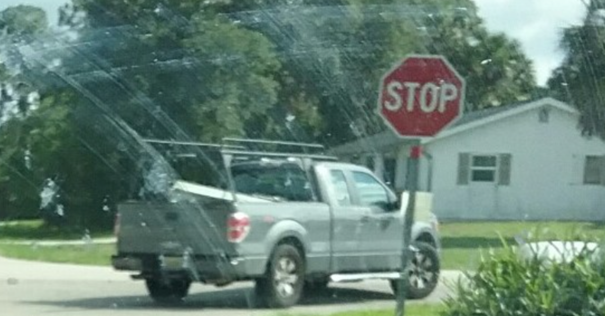 Florida driver caught on video dragging dog from truck