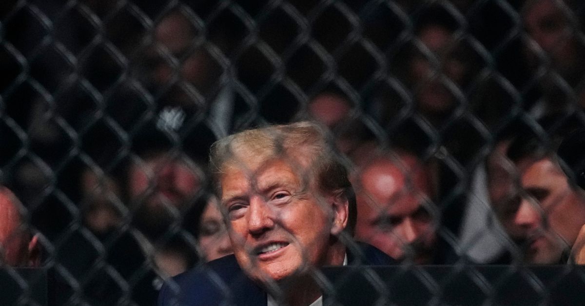 Former President Donald Trump waits for the start of the lightweight bout between Matt Frevola and Benoit Saint Denis, of France, at the UFC 295 mixed martial arts event Saturday, Nov. 11, 2023, in New York. (AP Photo/Frank Franklin II)