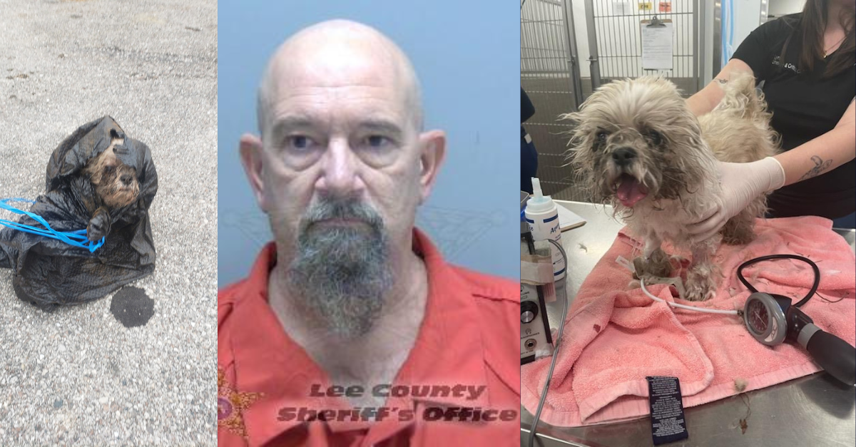 Anthony Lee Bellman threw a 16-year-old Shih Tzu, Xyla, into a dumpster, deputies said. (Images: Lee County Sheriff
