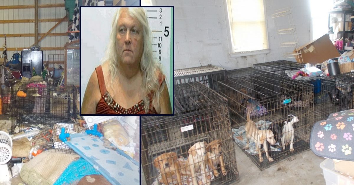 Ronda Murphy appears inset against two images of dog cages in her hoarding residence