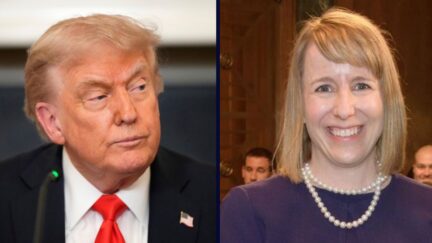 Donald Trump / Judge Stephanie Gallagher