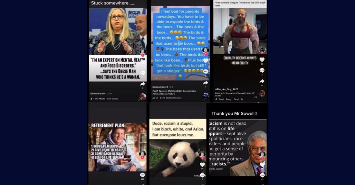 Kari MacRae meme exhibit