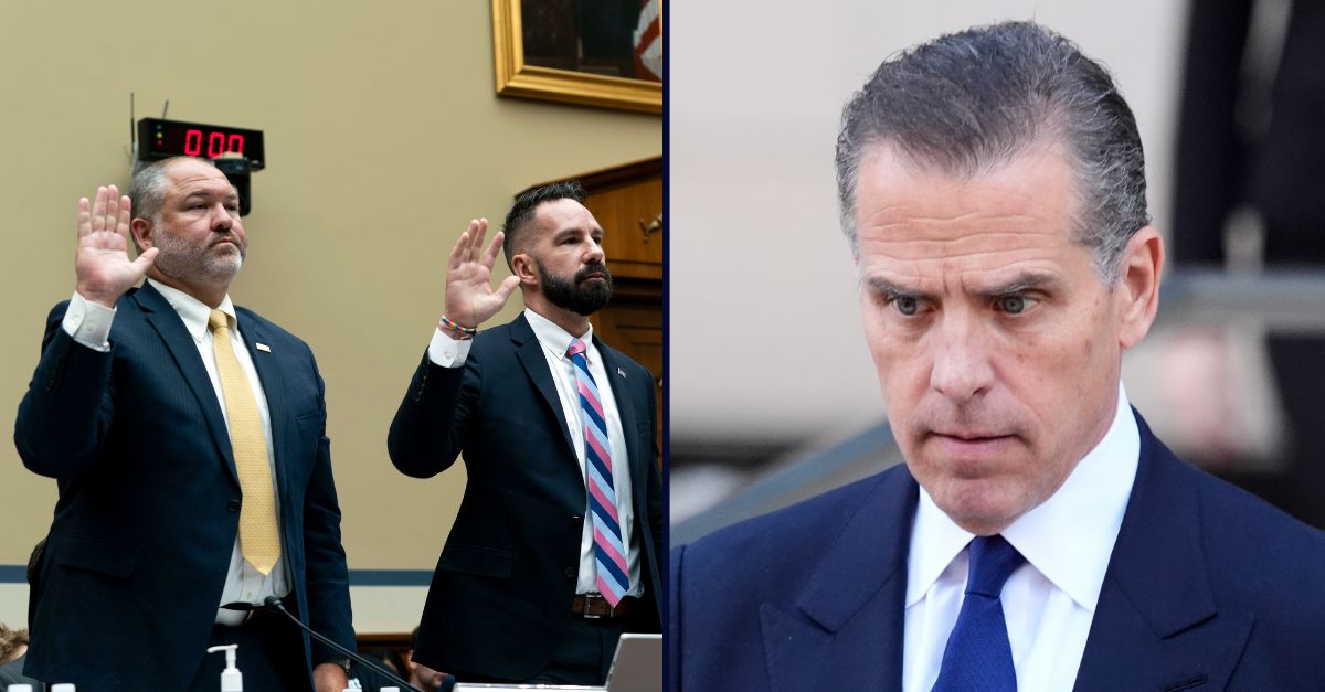 Gary Shapley, Joseph Ziegler, Hunter Biden