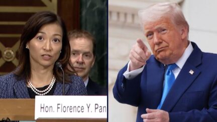 Florence Pan, Donald Trump