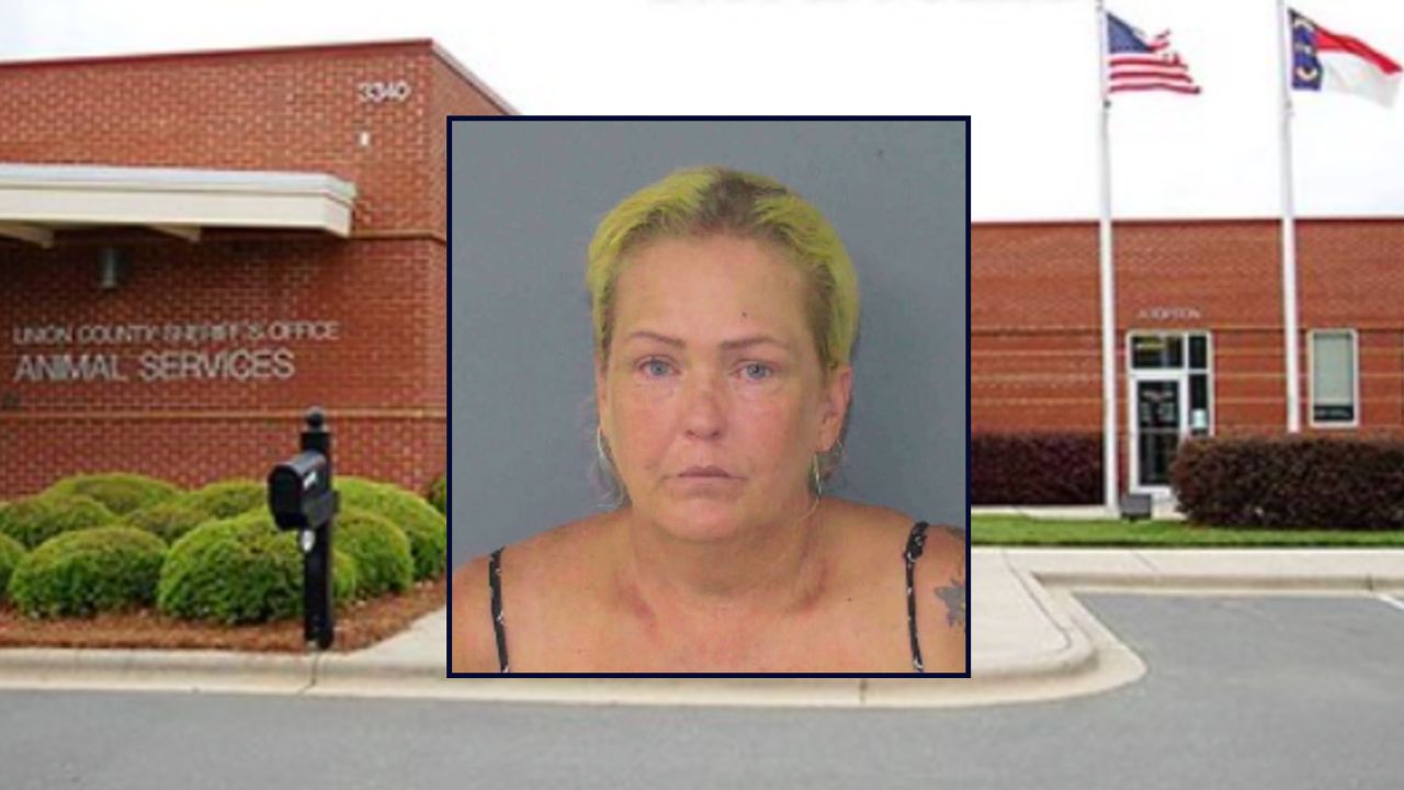 Dedra McManus appears inset against a county building in North Carolina.